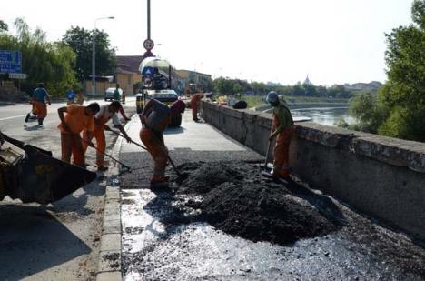 La "biciclit" pe Averescu: Primăria face o pistă de biciclete lungă de un kilometru